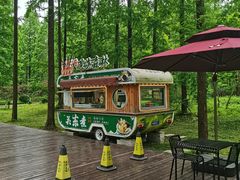 -黄海国家森林公园