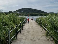 -长广溪湿地公园