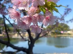 -新江湾城公园