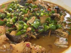 -全乐鱼馆·淳牌有机鱼直营店