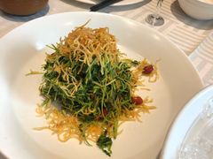 巧拌豆苗-四季民福烤鸭店(王府井灯市口店)