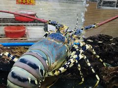 龙虾-寻味顺德·南记酒家·传统顺德菜·鱼生(广源路店)