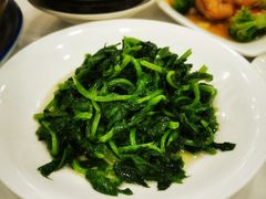 炒豆苗-瑞福园联谊餐室(茂名南路店)