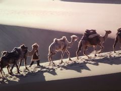 -敦煌莫高窟数字展示中心