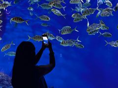 -成都浩海立方海洋公园