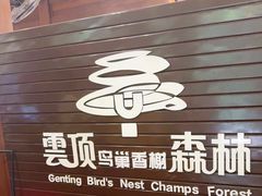 -亚龙湾热带天堂森林公园