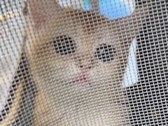 -美联众合动物医院·24h转诊中心