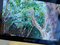 -Sony Store 索尼(上海淮海中路店)