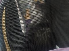 -伟伟宠物医院·瑞派猫友好医院·猫科(光谷店)