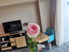 -厦门国际会议中心酒店(环岛路酒店)