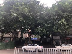 -黄桷坪涂鸦艺术街