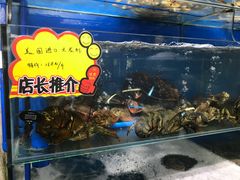 -蚝专家(北滘店)