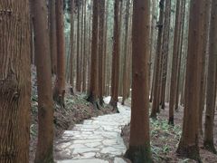 -山王坪喀斯特国家生态公园