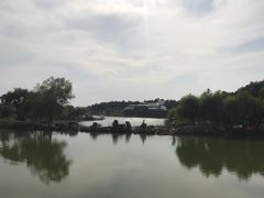 -大塘金香草谷