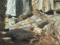 -太白山御龙湾温泉