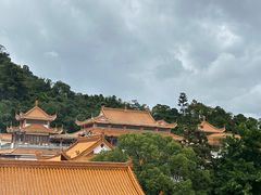 -深圳仙湖植物园