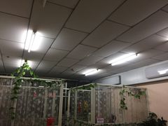 -壹阁胡羊焖饼(敦煌夜市店)