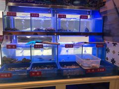 大堂-小龍鳳·港式海鲜打边炉(沙湖路店)
