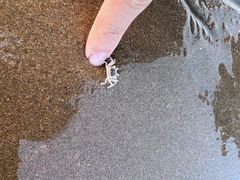 -青岛石老人海水浴场