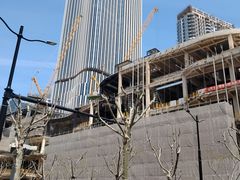 -东方体育中心(地铁站)