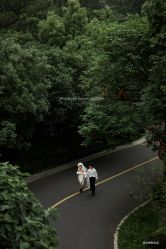 点击看大图 -至臻微拉婚纱摄影