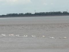 -观潮胜地公园