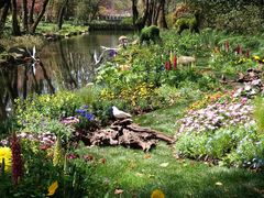 -上海共青森林公园