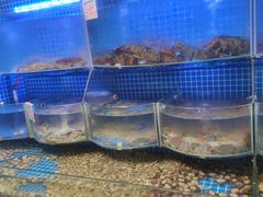 -云南巷海鲜大咖·可加工海鲜