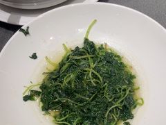 -紫阳富豪大酒店(惠南店)