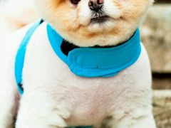 -韩松亭(锦观城店)