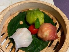 -点都德·毕德寮