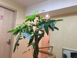 点击看大图 -阅年轻·AI家庭健康体质调理