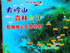 -东莞市大岭山森林公园