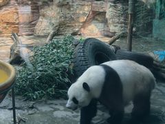 -石家庄市动物园