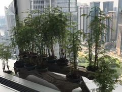 -上海观复博物馆