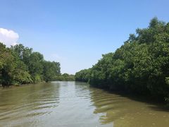 -大湾区中央湿地公园