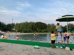 -柳浪游泳场