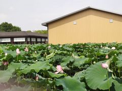 -千龙湖生态旅游度假区