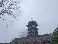 -洋湖国家湿地公园