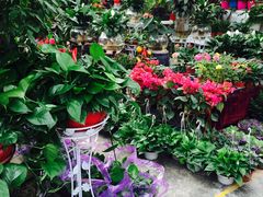 -秦美花卉(天朗·莱茵小城2期店)