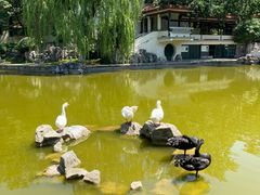 -舜耕山庄四时万和自助餐厅