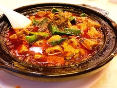 -陈麻婆豆腐总店