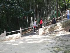 -灵岩山风景区