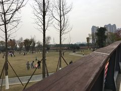 -府河摄影公园