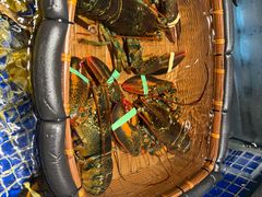 -高佳庄·舟山海鲜(海景旗舰店)