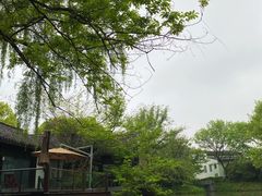 -西溪国家湿地公园