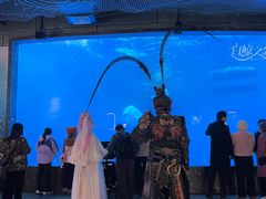 -海合安成都极地海洋公园