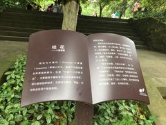 -南山植物园