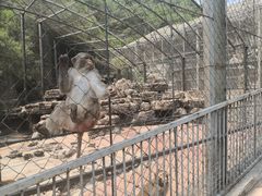 -北宫国家森林公园