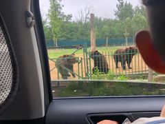 -秦皇岛野生动物园